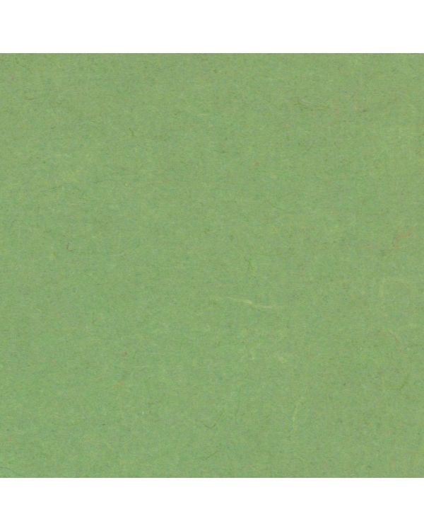 Mid Green - 63 x 94cm - Plain Coloured Japanese Paper