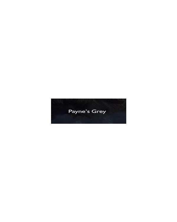 Payne's Grey - 150ml - Gamblin Oil Paint