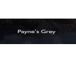 Payne's Grey